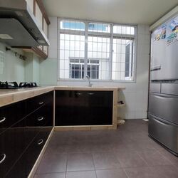 bishan-park-condominium photo thumbnail #10
